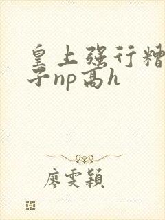 皇上强行糟蹋太子np高h