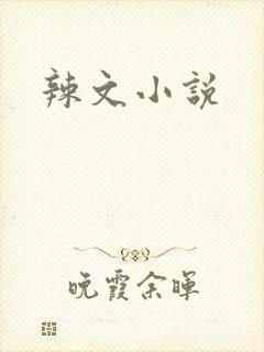 辣文小说