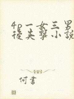 《4p一女三男前后夹击小说》小说封面