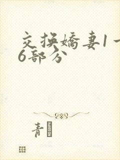 交换娇妻1一36部分