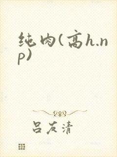 纯肉(高h.np)