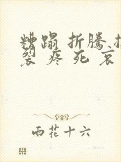 糟蹋 折腾 撕裂 疼 死 哀求