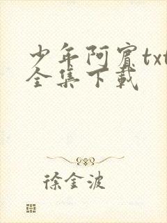 《少年阿宾txt全集下载》小说封面