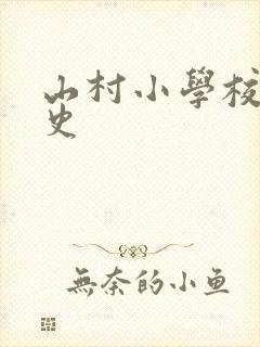 《山村小学校长艳史》小说封面