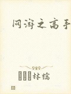 网游之高手寂寞
