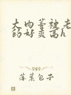 大肉蒂被老头嘬的好爽高h