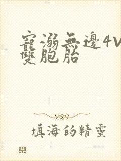 宠溺无边4V2双胞胎