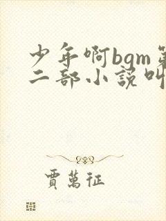少年啊bgm第二部小说叫什么