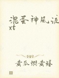 混蛋神风流史txt