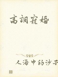 高调宠婚