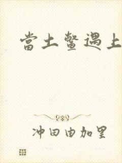 当土鳖遇上海龟