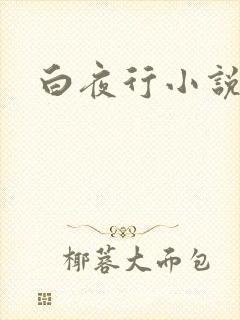 白夜行小说下载