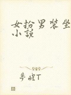 女扮男装坐江山小说