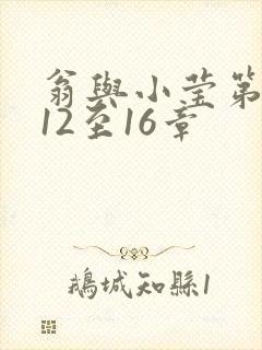 翁与小莹第十部12至16章