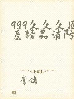 999久久久国产精品消防器材