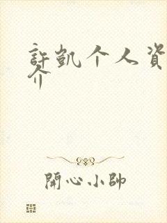 许凯个人资料简介