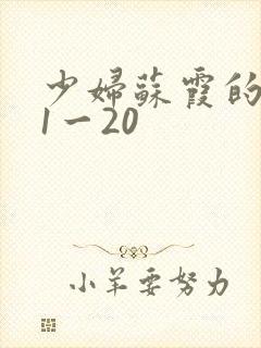 少妇苏霞的沉沦1一20