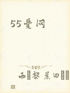 55爱网
