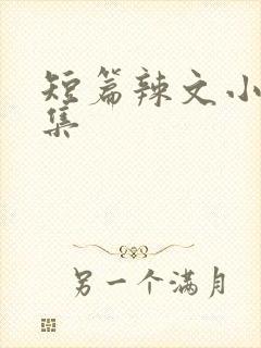 短篇辣文小说合集