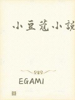 小豆蔻小说