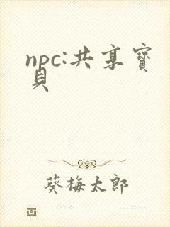 npc:共享宝贝
