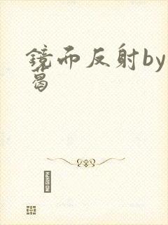 镜面反射by九葛