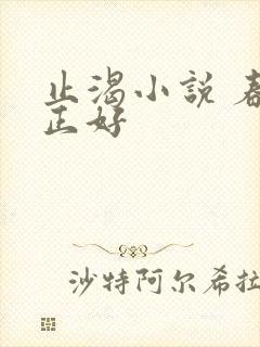 止渴小说 春光正好