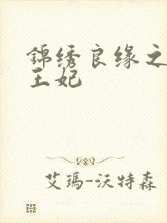 锦绣良缘之北地王妃封面