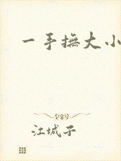 一手抚大小说
