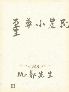 至尊小农民王木生