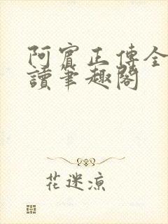 阿宾正传全文阅读笔趣阁