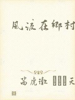 风流在乡村