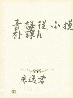 青梅从小摸到大补课h