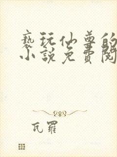 亵玩仙尊的道侣小说免费阅读