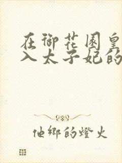 在御花园皇上进入太子妃的小说