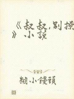 《叔叔,别撩我》小说