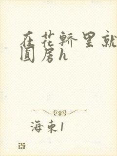 在花轿里就开始圆房h