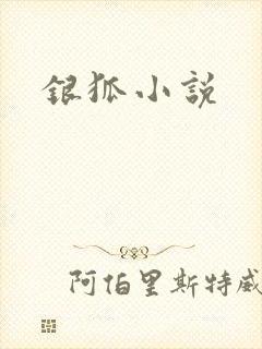 银狐小说