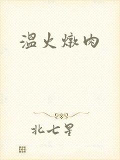 温火炖肉