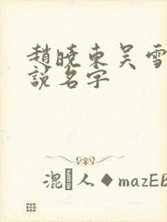 赵晓东吴雪晴小说名字