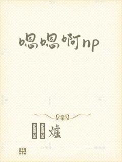 嗯嗯啊np