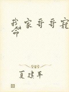 我家哥哥宠妹如命