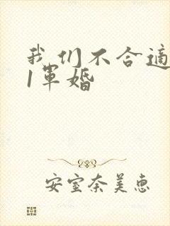 我们不合适1v1军婚