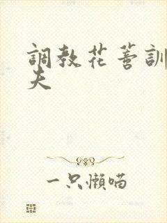 调教花蒂训诫从夫