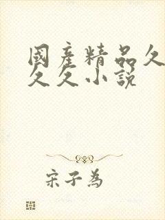 国产精品久久久久久小说