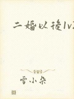 二婚以后1v2