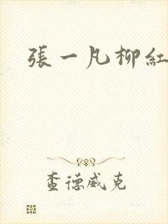 张一凡柳红