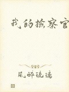 我的检察官先生