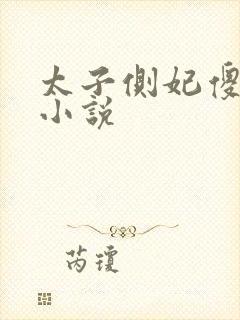 太子侧妃傻乎乎小说