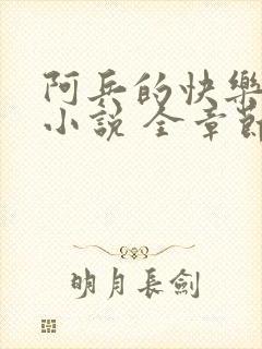 阿兵的快乐生活小说 全章节阅读免费